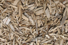 biomass boilers Cramond